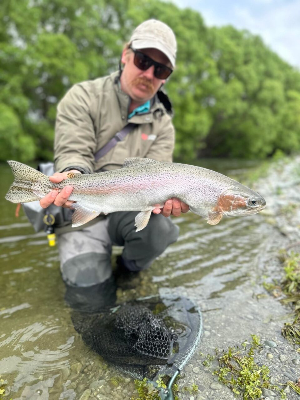 Central South Outfitters - rainbow trout on a Mackenzie fly fishing trip